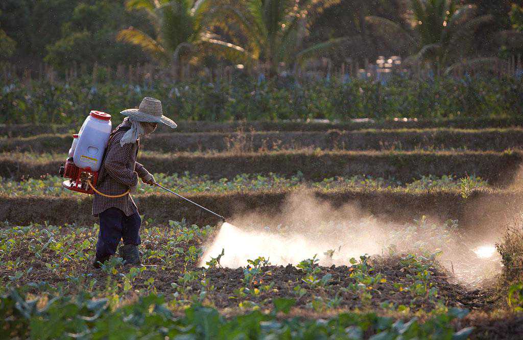 农药残留检测 让食品安全伴你左右