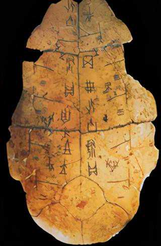 “老师，我好像发现文物了，怎么办？”