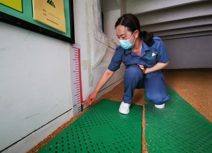 潍坊寿光：粮仓“黑科技”守护“面袋子”