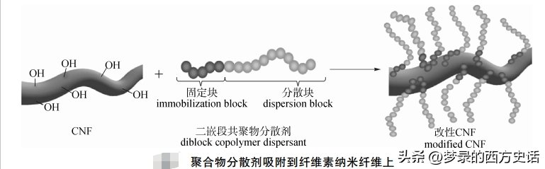 三氟乙酸作为纤维素纳米晶的有效分散介质