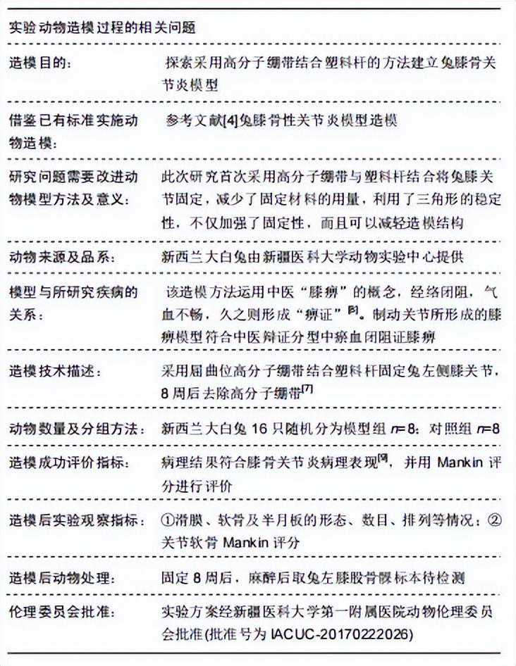 高分子绷带结合塑料杆建立的兔膝骨关节炎模型分享