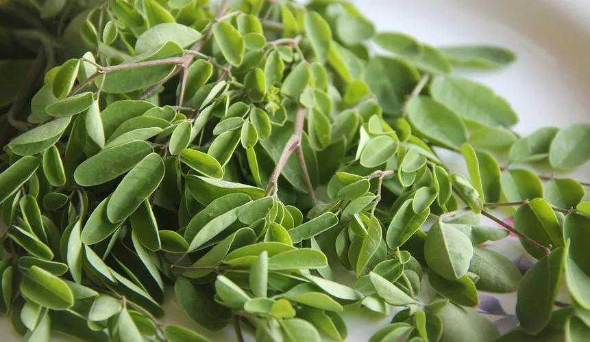 116种新食品原料，还有哪些潜力原料值得开发？