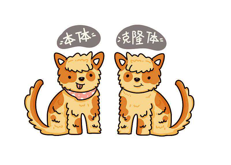 每日科技名词|克隆