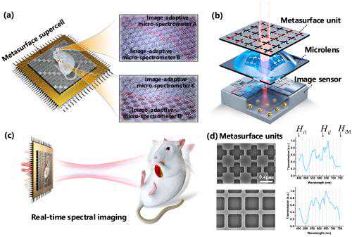 清华电子系崔开宇等研制出国际首款实时超光谱成像芯片