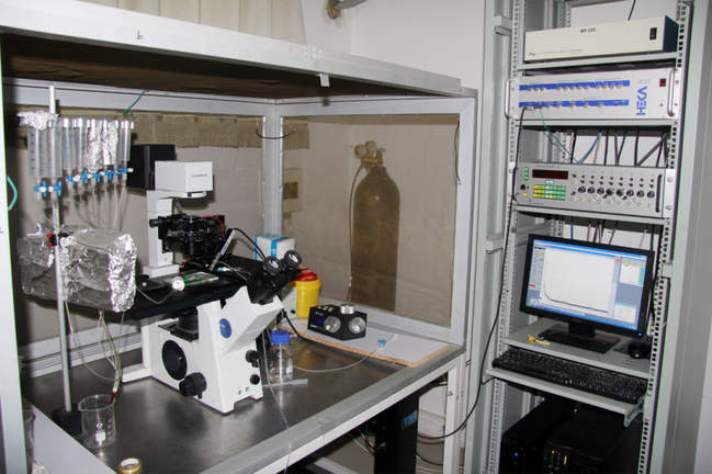 膜片钳——打开细胞奥秘的钥匙（上）