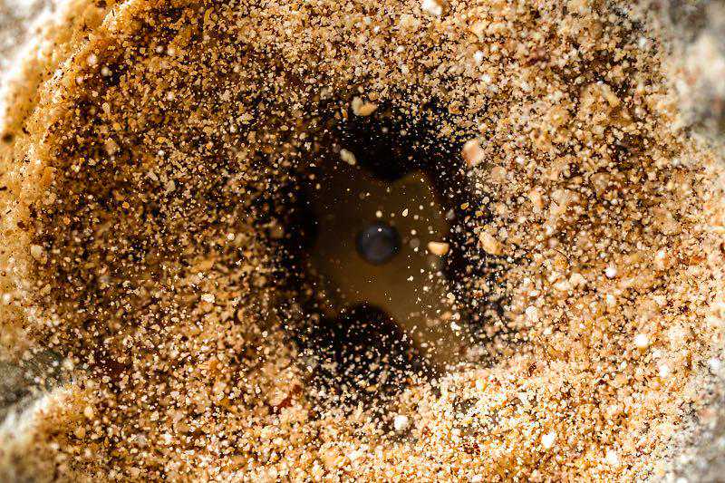 每日科技名词|超微粉碎