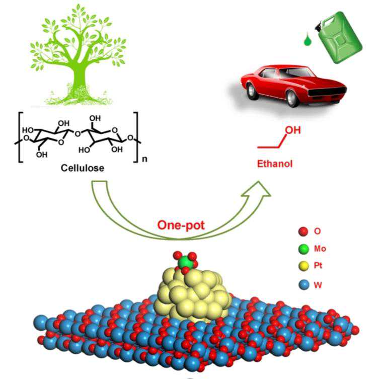 大连化物所将纤维素“一锅”高效转化为乙醇