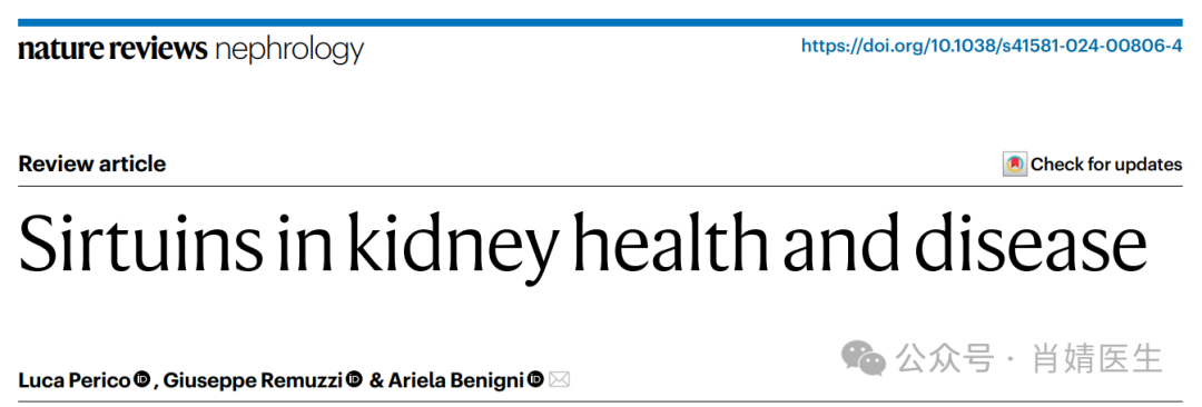 肾脏健康与疾病中的去乙酰化酶（Sirtuins）