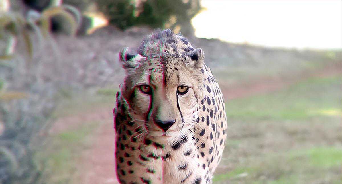 摄影中的色差：它是什么？以及如何避免它？