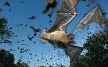 什么是超声波，为什么超声波可以用来焊接塑料和金属