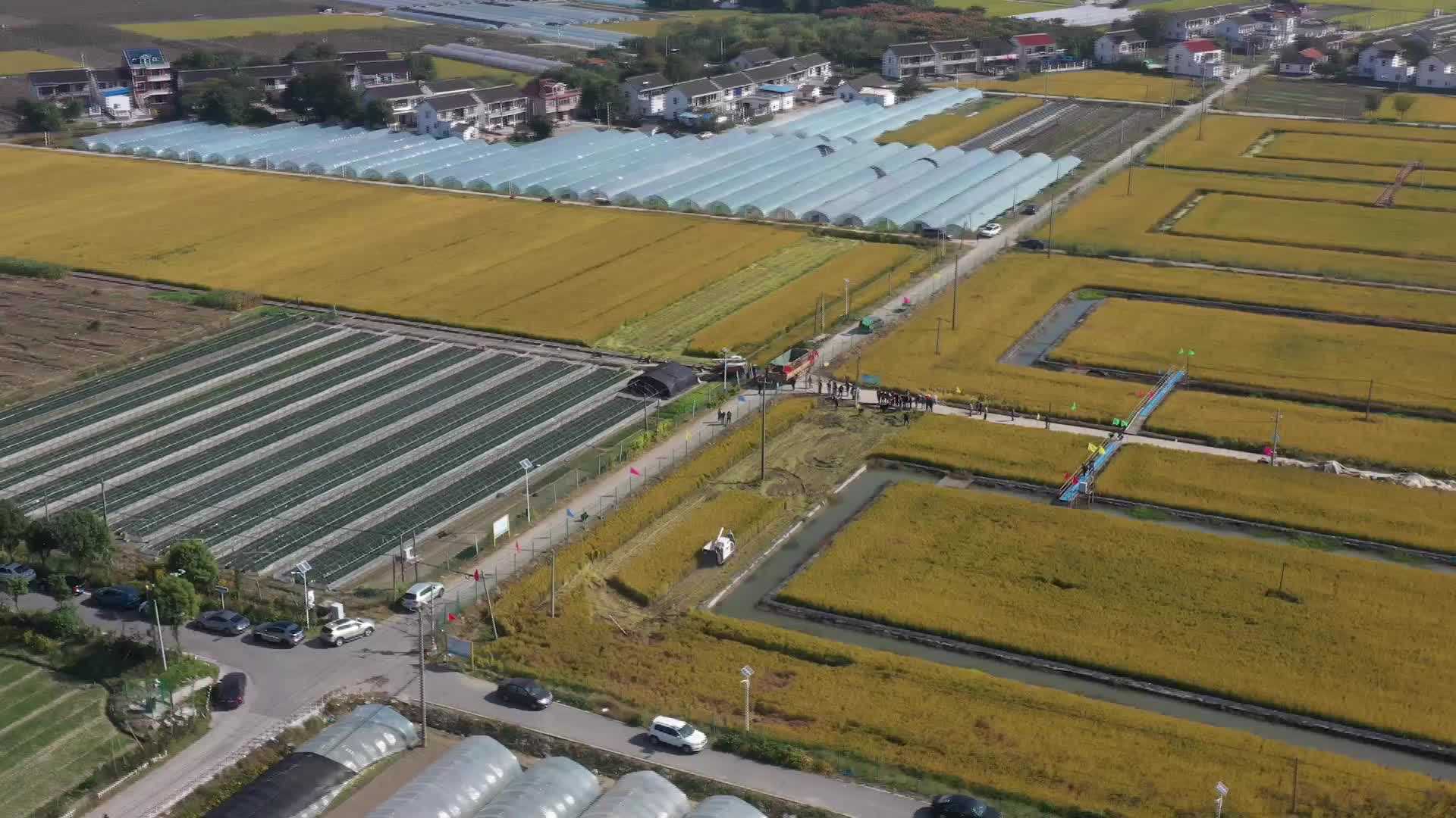 在稻谷飘香的季节里，一起来品尝“纳微米”吧