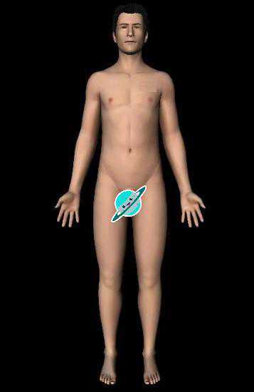 关节活动度测量要点