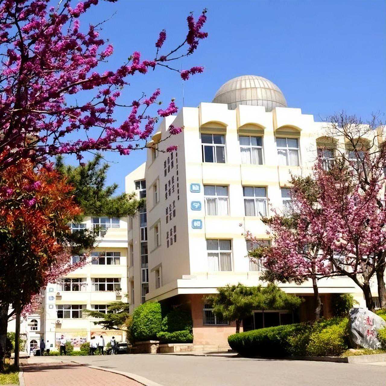 青岛十七中：以文化治校，向高品质教育更深处漫溯