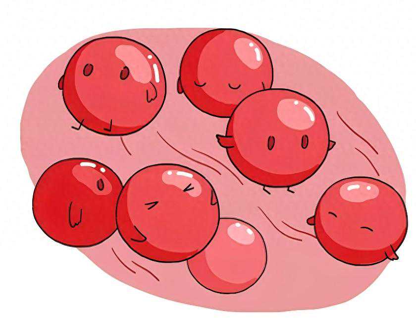 【名院名医】生命的“原动力”血细胞，你了解多少？