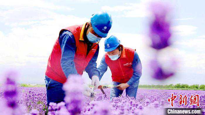 新疆大力实施电能替代项目守护绿水青山