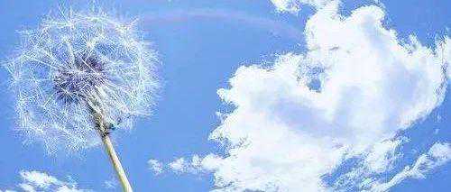 「有料」几种常见天然气流量计原理及选型分析