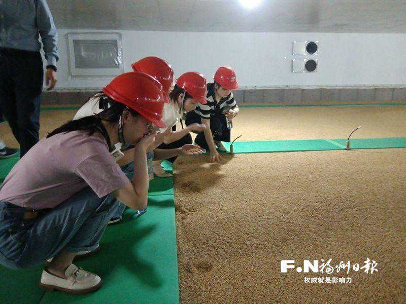 福建省最大中央储备粮库迎来公众开放日