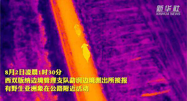 亚洲象热成像，立功了