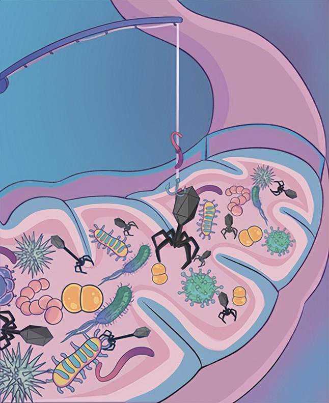 从肠道里“钓”出这种小东西，以后有什么大用处？