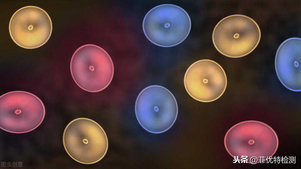 细胞增殖与毒性检测实验