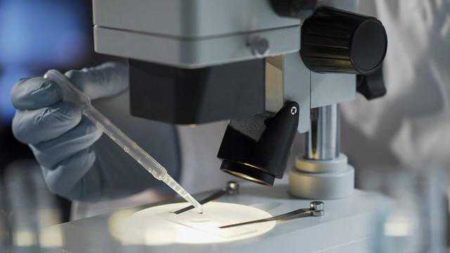 细胞生物学实验中细胞增殖的检测方法