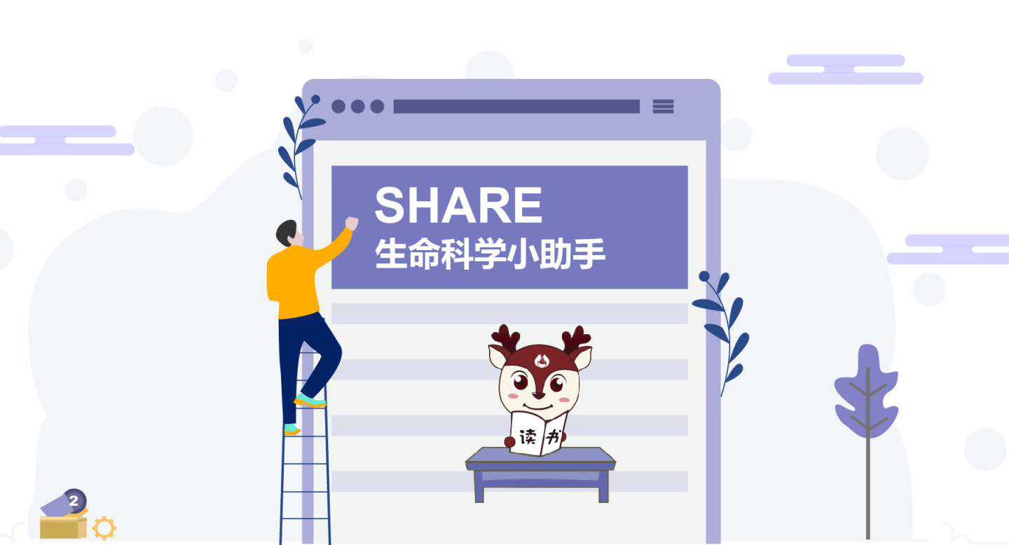 电泳(Electrophoresis)