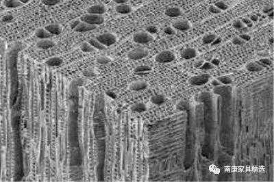 家具科普：红木的“管孔”里面，藏着哪些秘密？