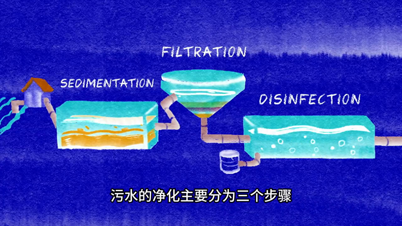 怎么净化污水？ #少儿科普