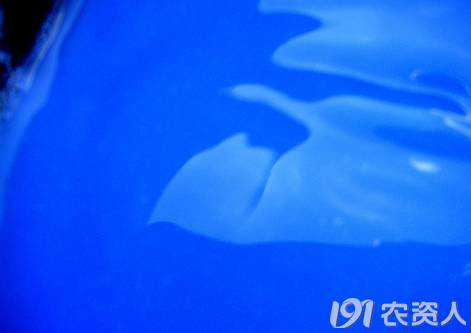 波尔多液的配置及其在果树上的使用技术