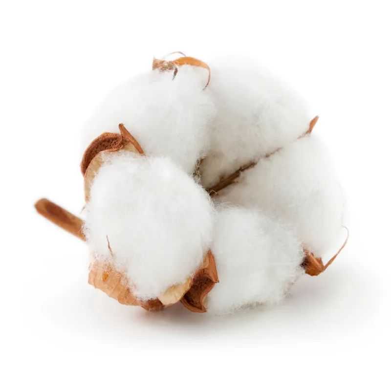 一文带你掌握密度常见测试方法和仪器