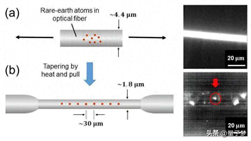 室温下用于下一代量子处理的光纤单光子光源