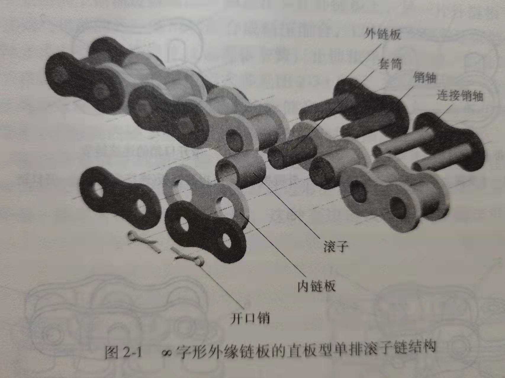 链条分类与标椎化