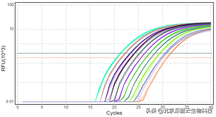 荧光定量PCR实验，荧光标记怎么选？
