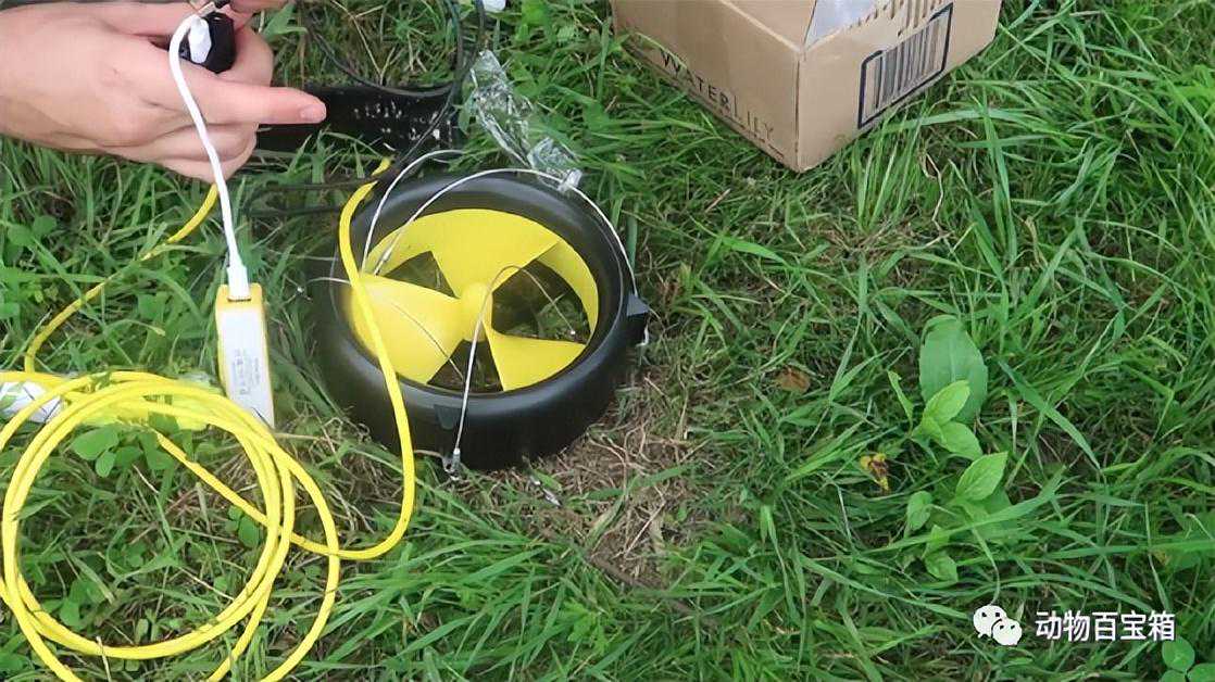 ​户外小型发电机，丢水里就能旋转发电，有什么用