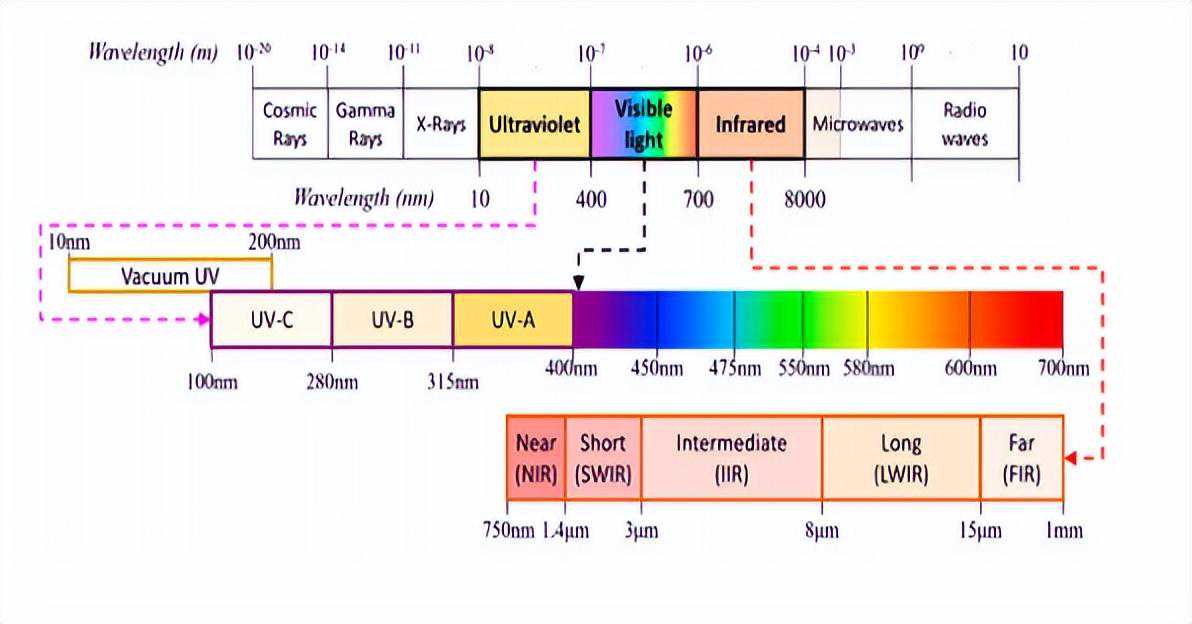 荧光标记鱼精蛋白/荧光标记Protamine