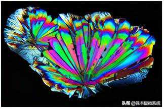 徕卡偏振光显微镜 – 不止颜色美丽