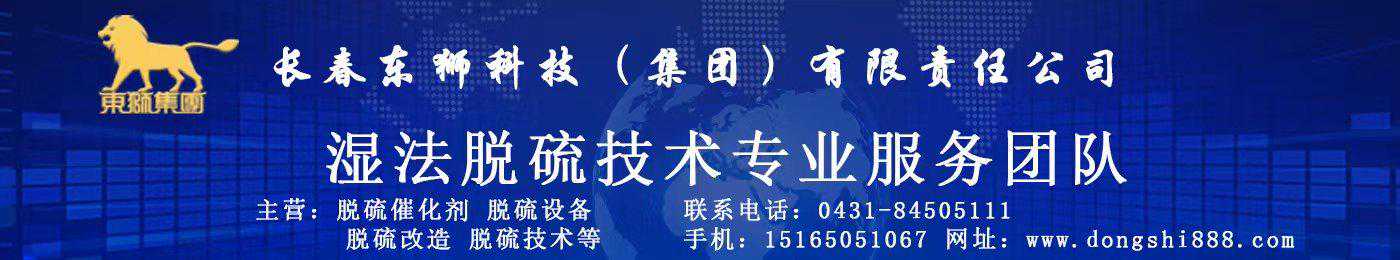 专有设备DS型硫泡沫专用过滤机