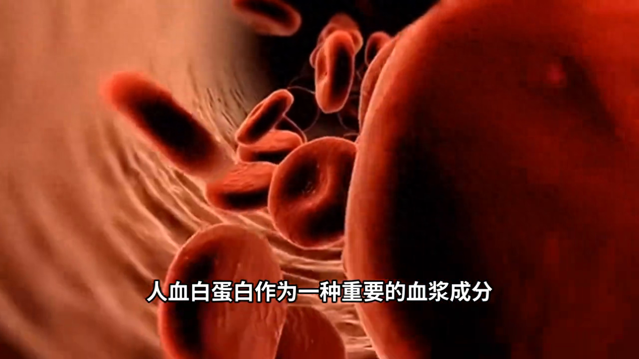 人血白蛋白在临床中的具体应用方案