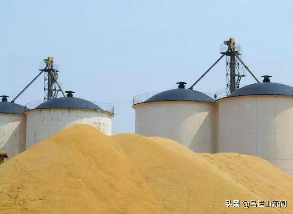 趋利忘本的粮仓“硕鼠”