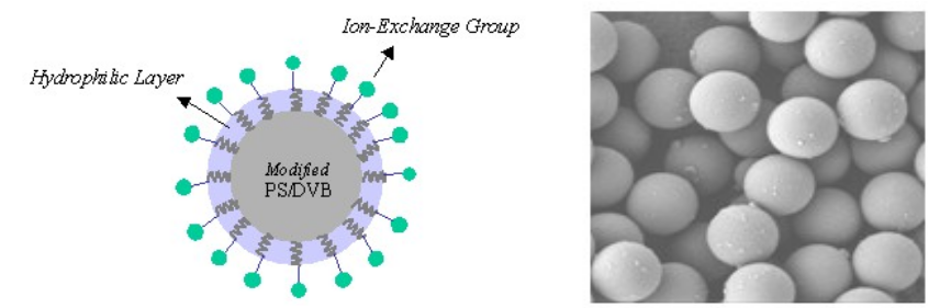 Target-IEX 系列离子交换色谱柱