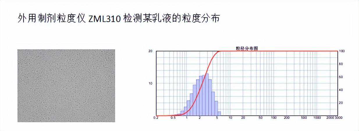 中国药典0982粒度检测方法-显微镜法测试粒度解析