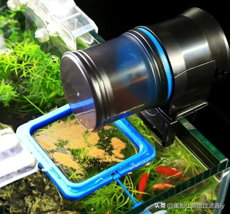 一款真正解放双手的懒人式养鱼神器，它来了