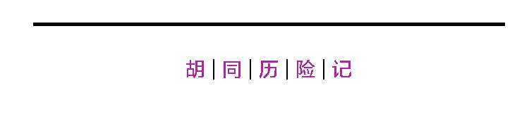 明星衣橱：你提笼架鸟，我追赶风潮