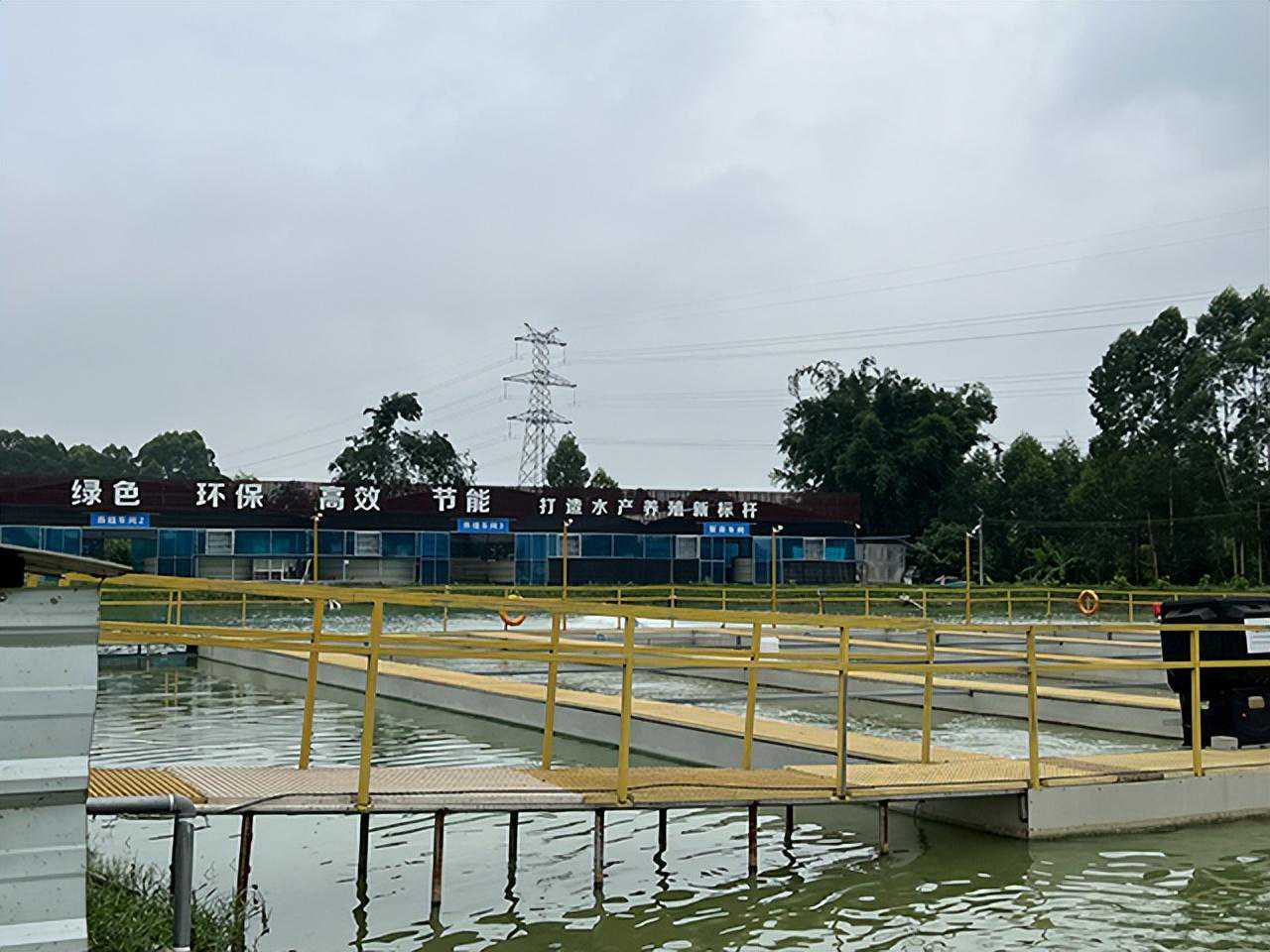 大疆渔业：循环水设备怎么选？新手必看!