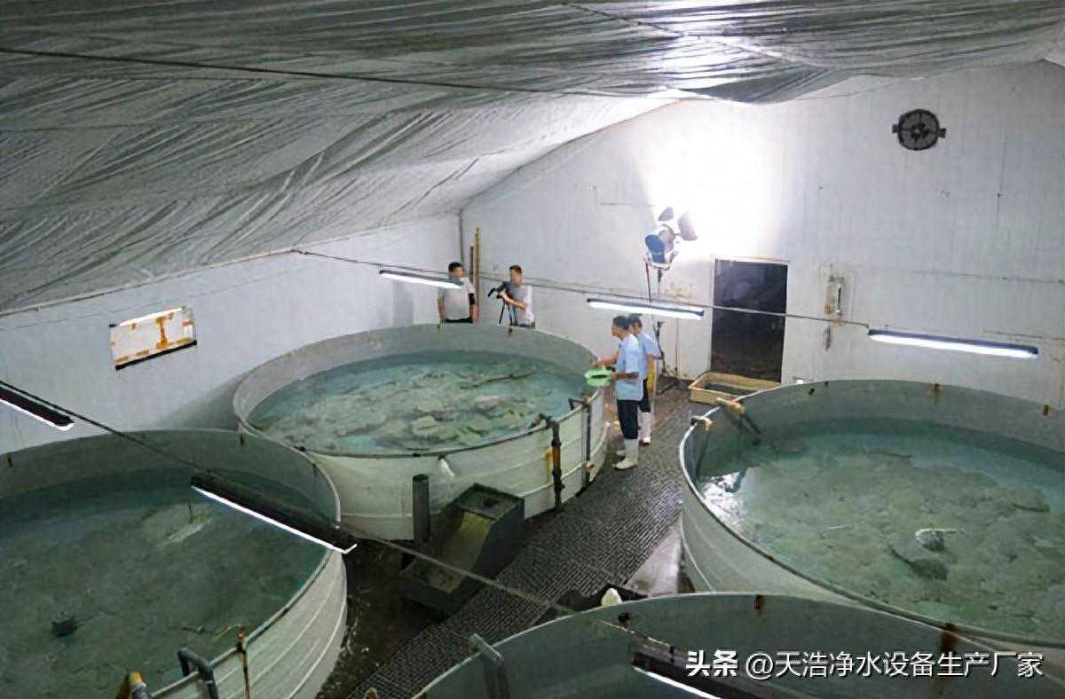 工厂化循环水养殖系统水泵怎么选择?