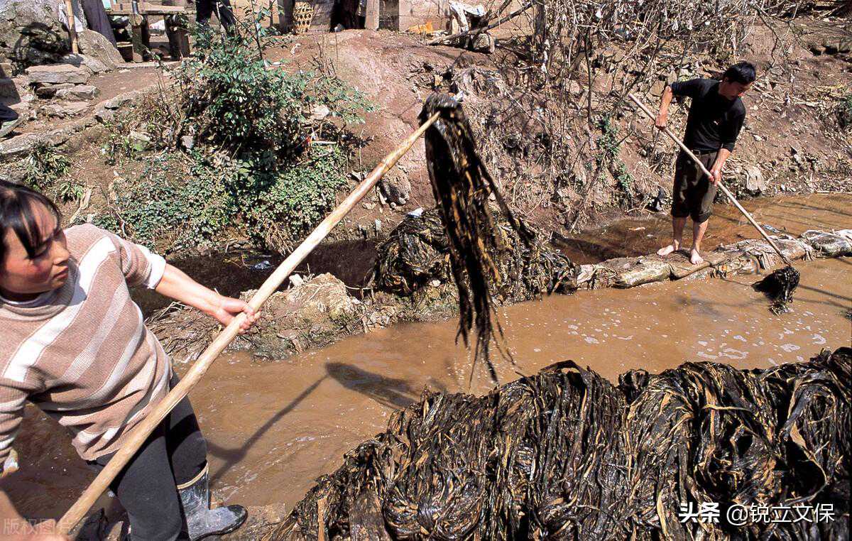 档案修复 | 纸张的抗张强度和耐折度