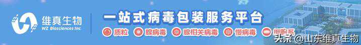 质粒载体构建成功的决定性因素