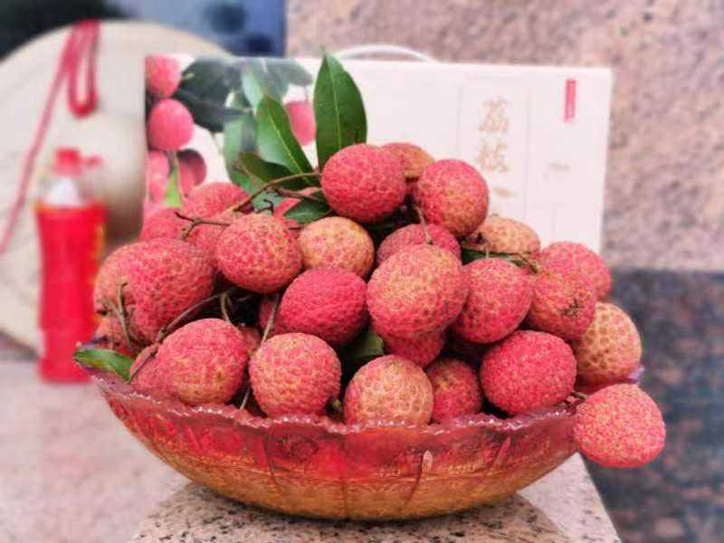 井岗红糯、钱岗糯米糍，北回归线上的“明珠”上市