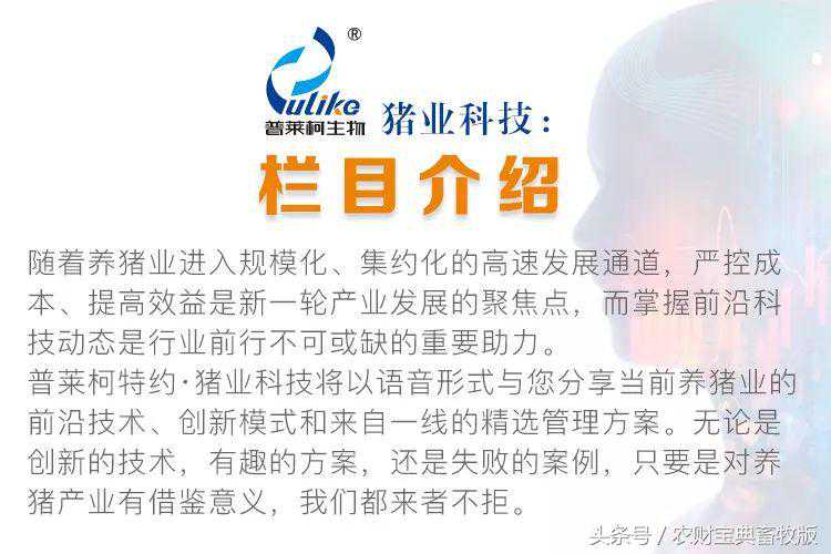 这种微阵列芯片可以同时检测5种猪病毒