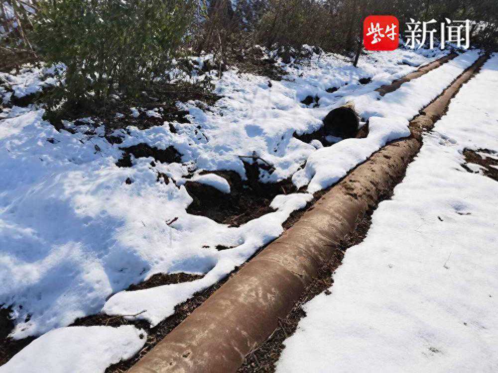 电厂直径40厘米的铁质排灰管道，也有人偷？